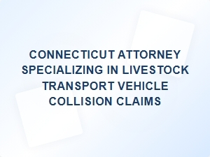 Connecticut Attorney for Livestock Transport Collision Claims